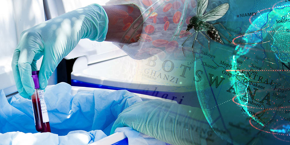 Multiple images superimposed: A medical professional examines a blood sample, a mosquito, and a globe