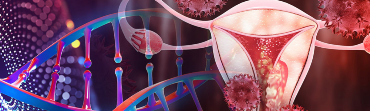DNA and the female reproductive system