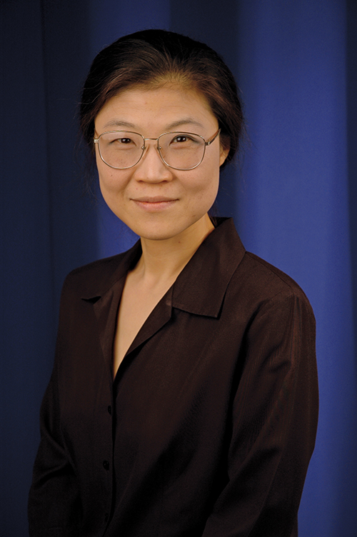 Eun-Shim Nahm, PhD, RN, FAAN, FGSA