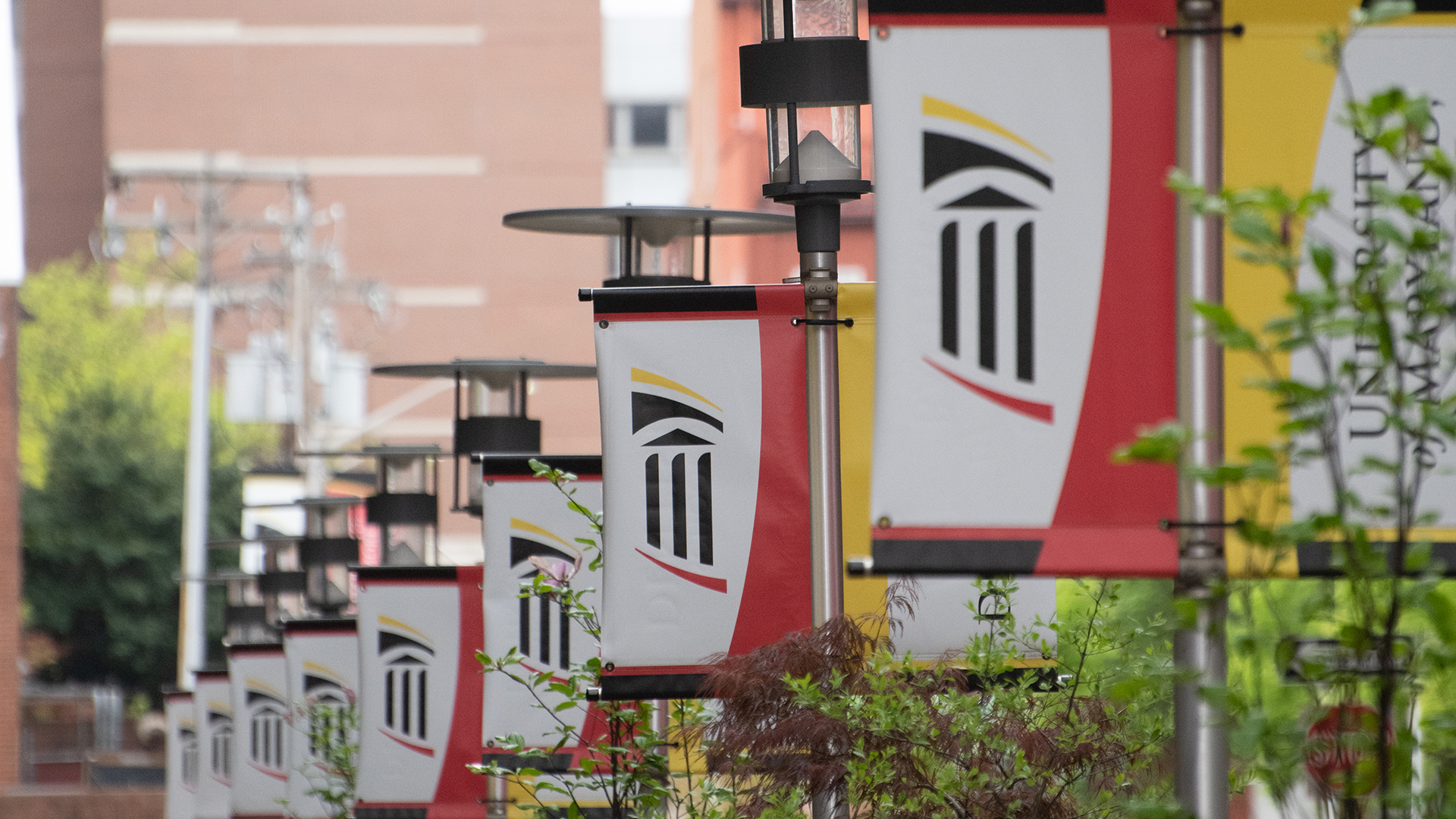 University of Maryland School of Social Work to Launch a New Doctor of Social Work Program
