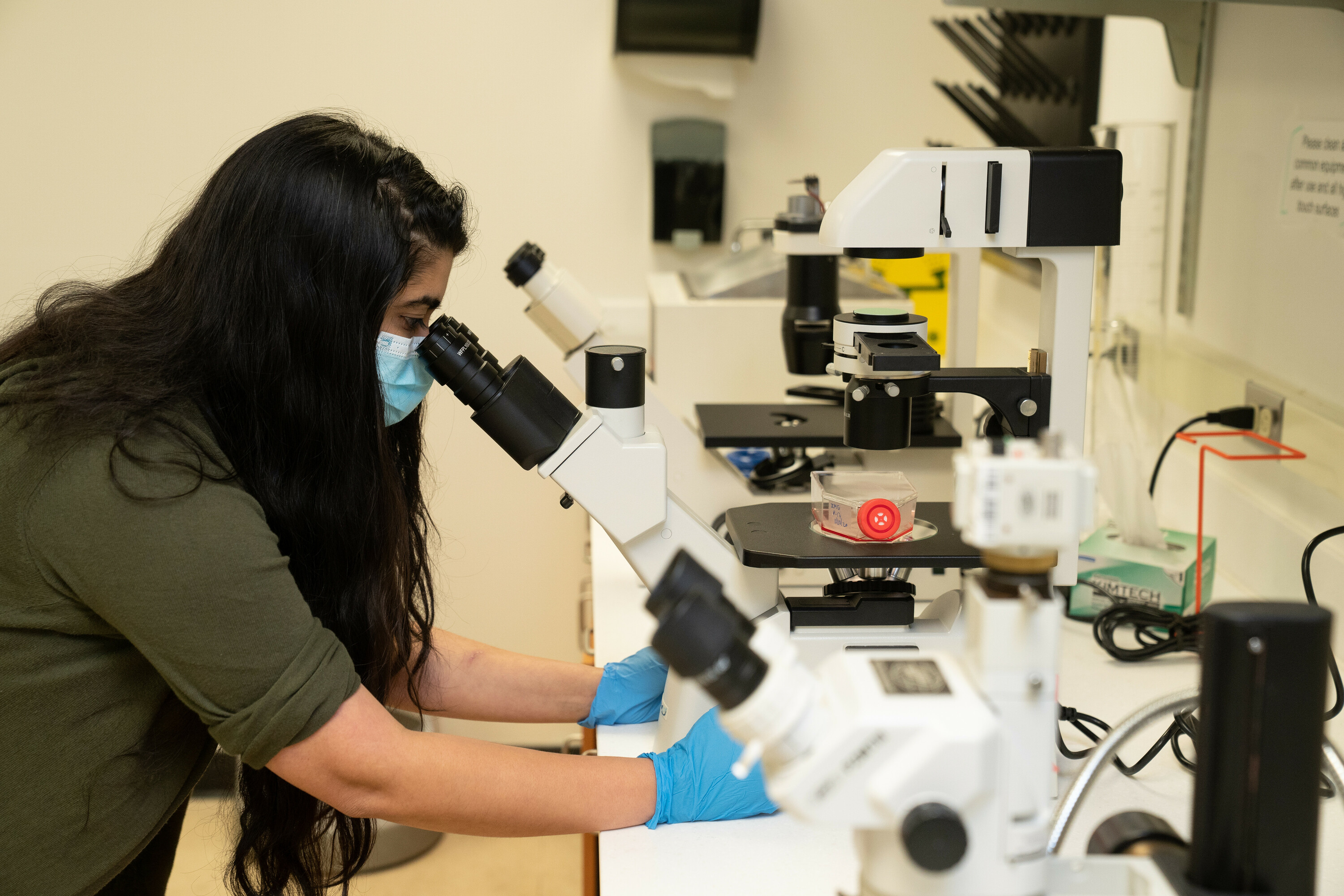 Medical student doing lab research