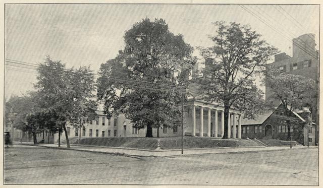 Davidge and Elm Tree