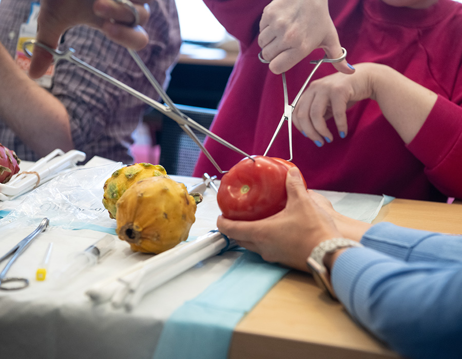 Training healthcare professionals using pieces of fruit