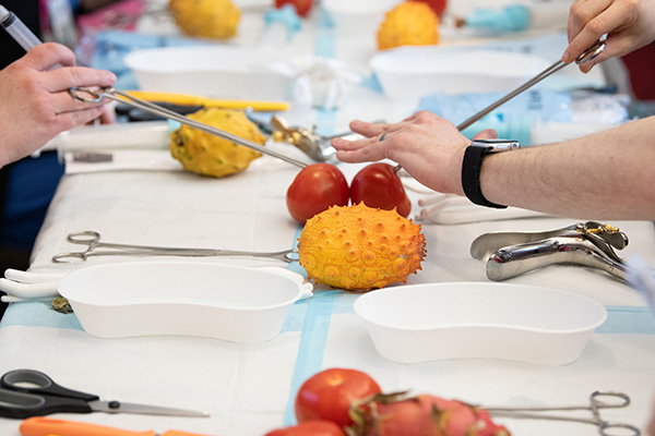 Training healthcare professionals using pieces of fruit