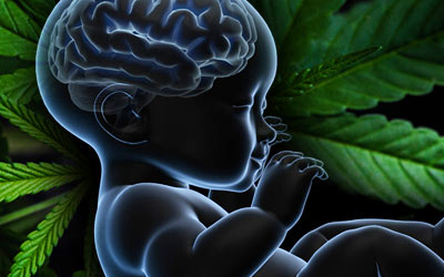 A University of Maryland School of Medicine study explores prenatal exposure to THC.
