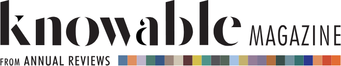 Knowable Magazine Logo