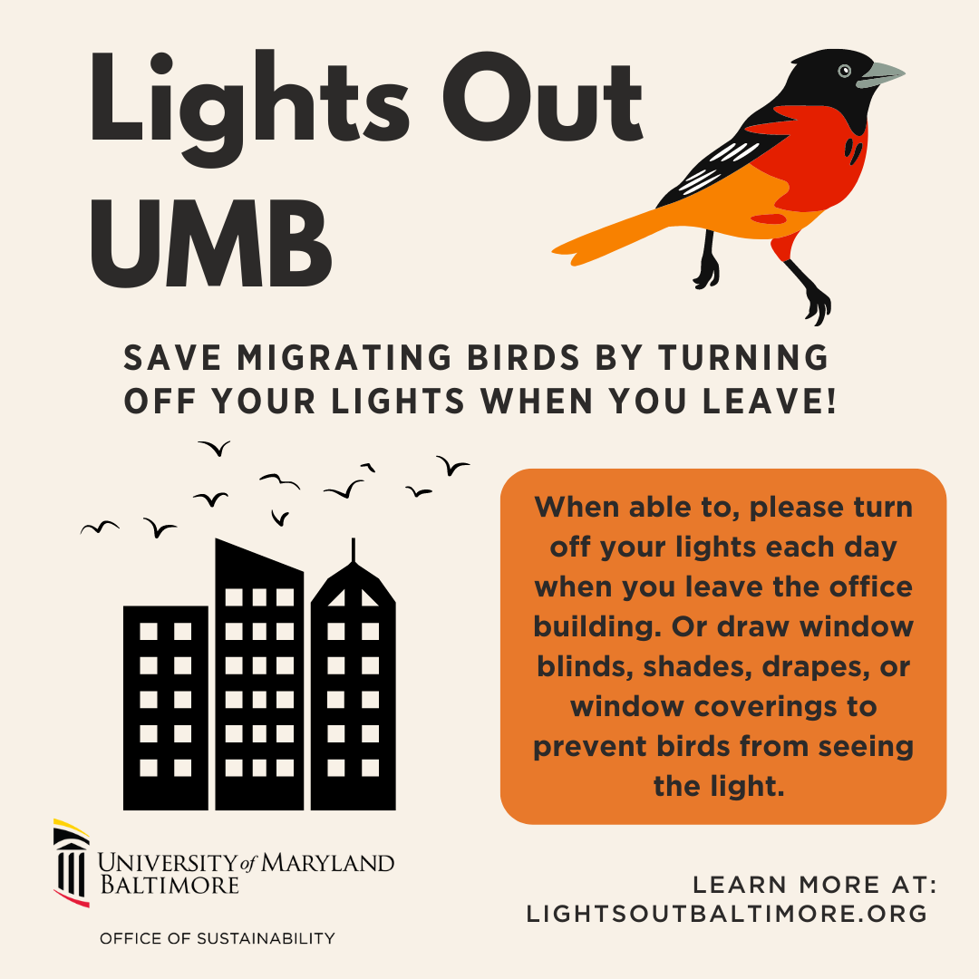 Lights Out UMB advocates for everyone to help protect migrating birds by turning off lights when leaving a building. When possible, you should turn off your lights each day as you leave the office, or use blinds, shades, drapes, or other window coverings to block light and prevent birds from seeing it. To learn more, visit LightsOutBaltimore.org.